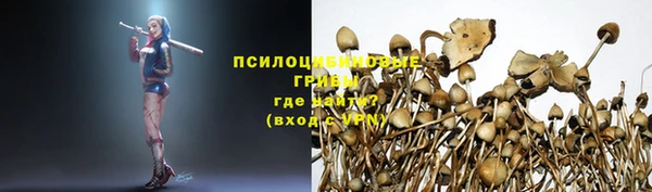 молекула духа Белокуриха