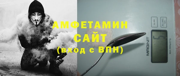молекула духа Белокуриха