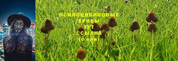 ГАЛЛЮЦИНОГЕННЫЕ ГРИБЫ Каменск-Шахтинский
