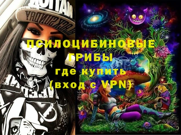 молекула духа Белокуриха
