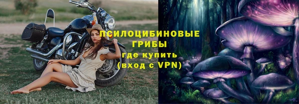 молекула духа Белокуриха