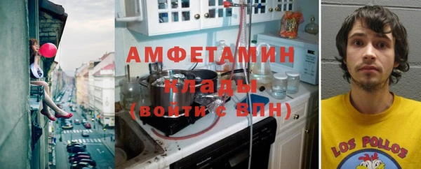 молекула духа Белокуриха
