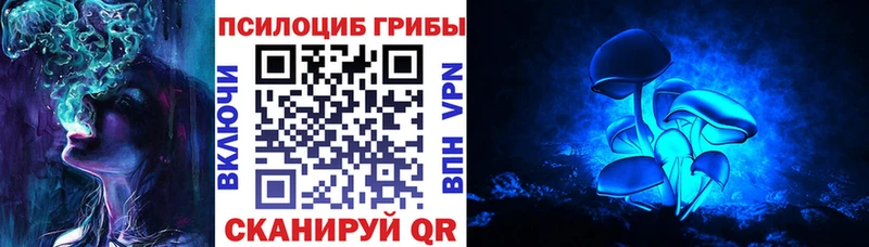 Псилоцибиновые грибы Cubensis  Всеволожск 